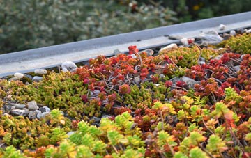 the cost of Latton green roof installation