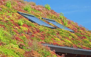 Latton living roof systems