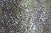 Latton fibreglass roof work